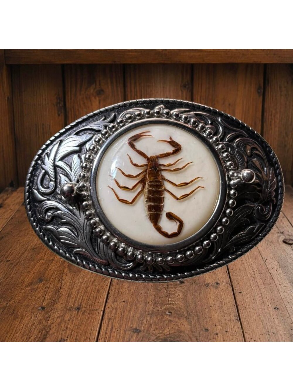 Vintage Scorpion Belt Buckle With Inlaid Resin 1970s INSECT Fashion Unisex Oddit